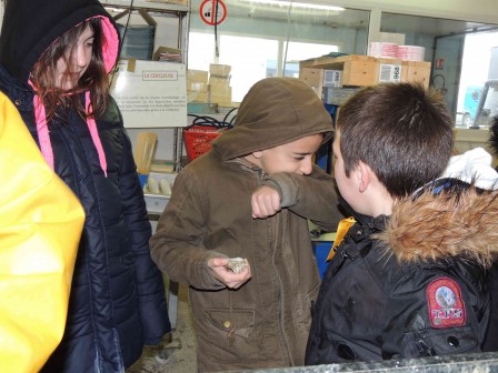 DSCN4985.jpg